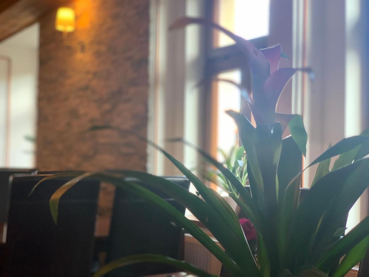 UniqHotel Česky Šternberk Exteriér fotografie